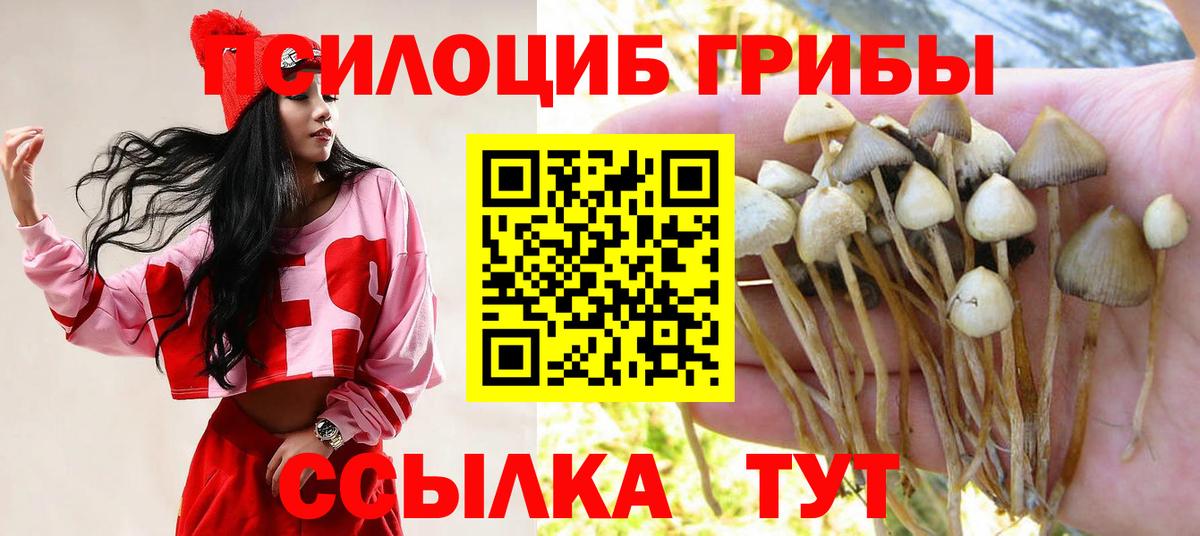 Красноуфимск  Галлюциногенные грибы Psilocybine cubensis  Вход с VPN 